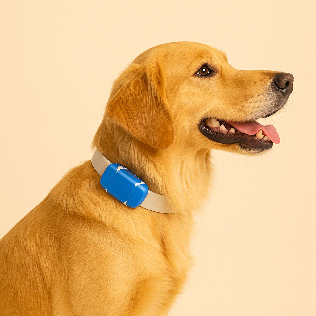 PetScout GPS-Tracker